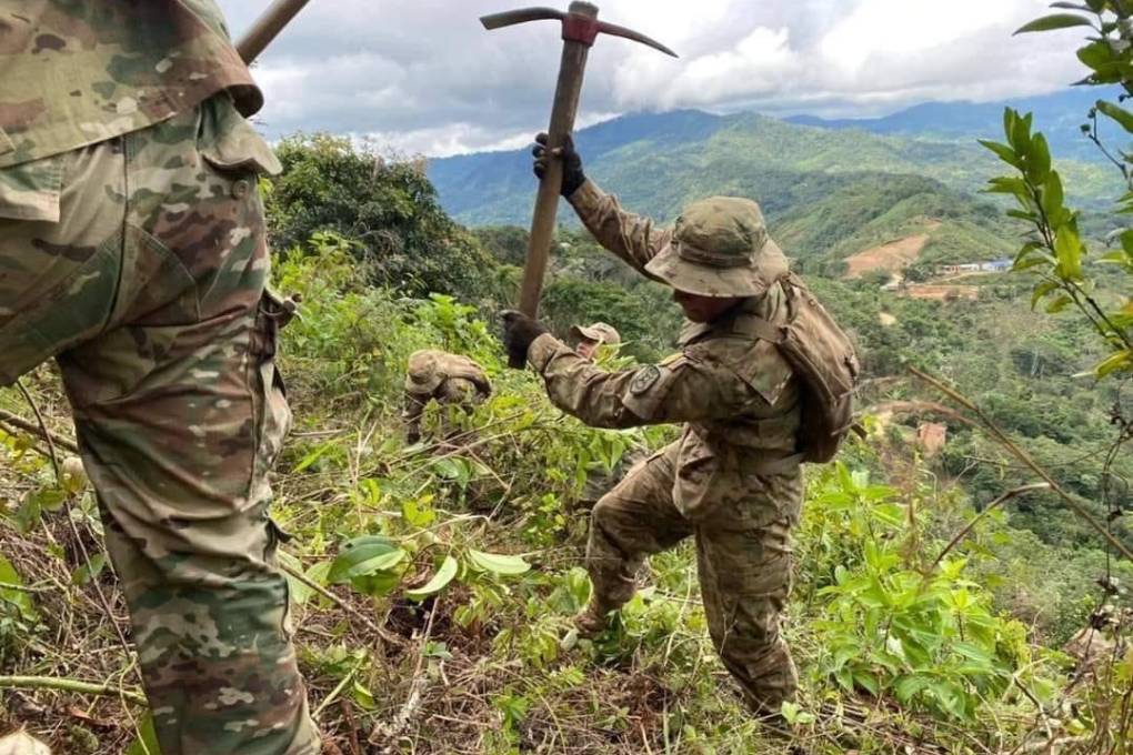 Las fuerzas antinarcóticos encabezan las tareas