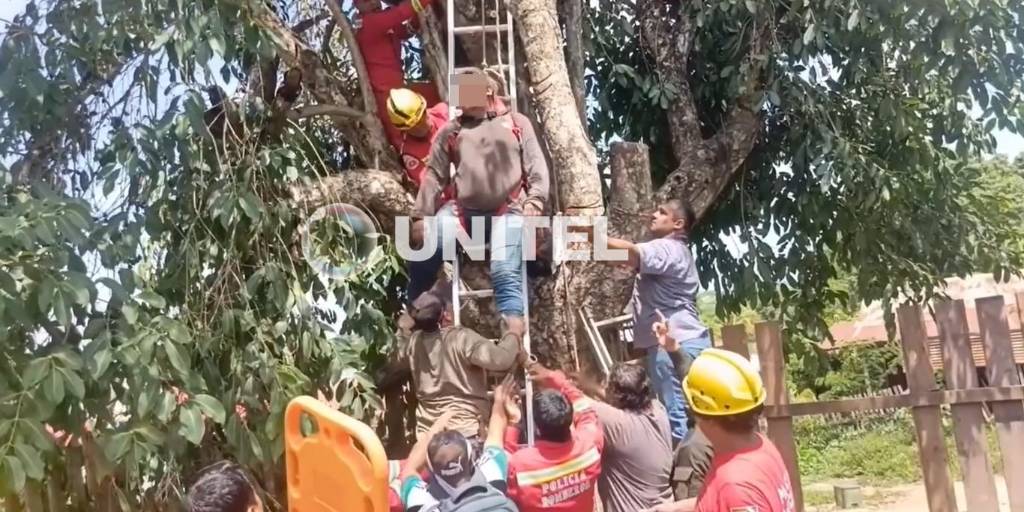 Muere el joven al que le cayó la rama de un árbol que estaba podando