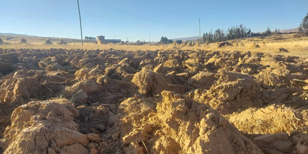 12 municipios se han declarado en desastres por sequía a nivel nacional ...