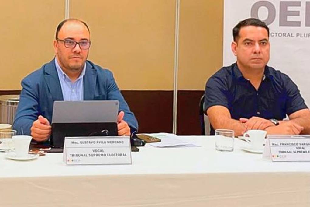 Ávila y Vargas son vocales del TSE