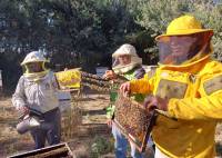 Apicultores mostraron el trabajo que realizan las abejas
