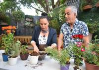 Olivia Gutiérrez destacó las plantas que repelen insectos en La Batidora