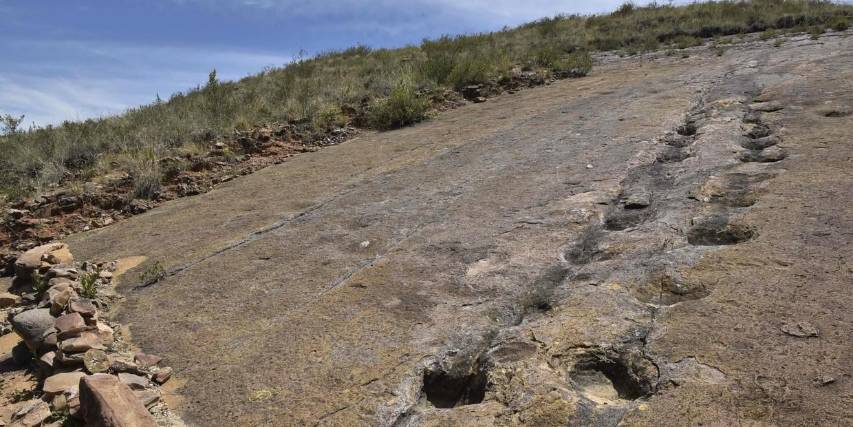 ¡Histórico! Descubren en Bolivia el yacimiento de huellas y rastros de ...